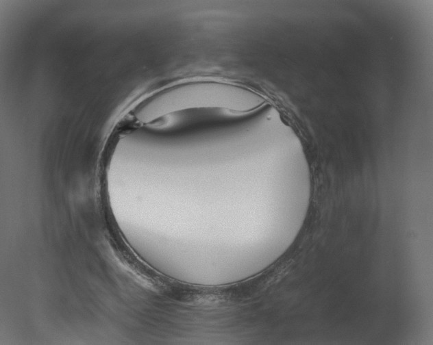 X0000080660344200701121612