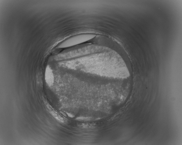 X0000080660345200701121612