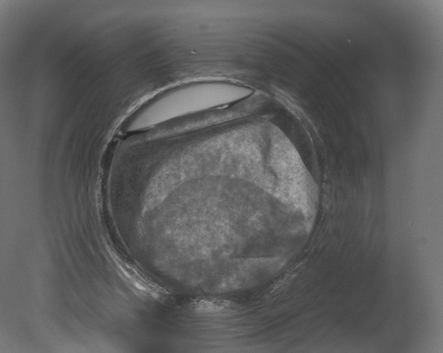 X0000080660346200701121612