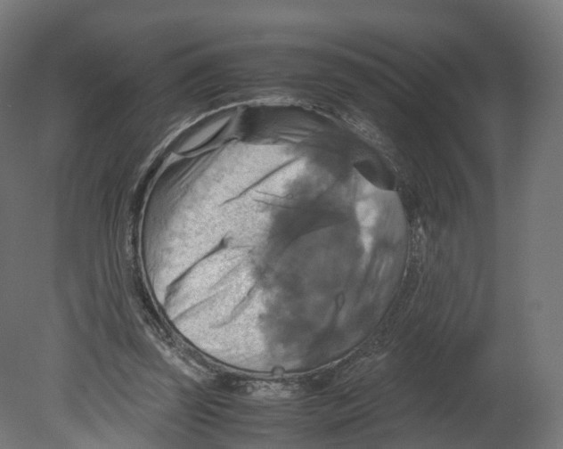 X0000080660347200701121612