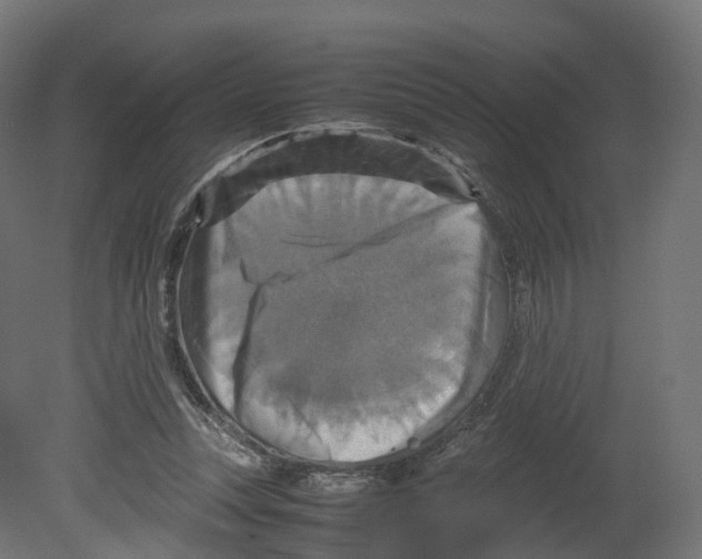 X0000080660351200701121612