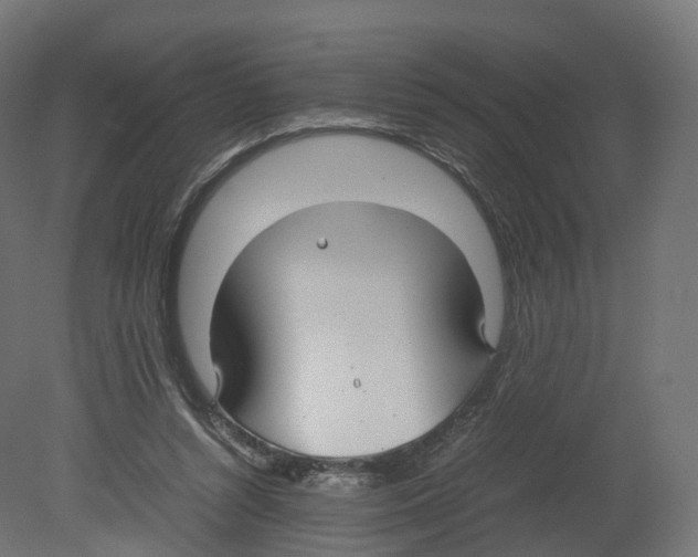 X0000080660352200701121612