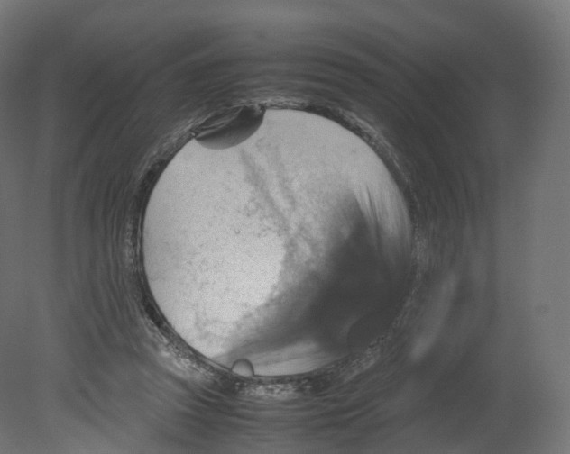 X0000080660353200701121612