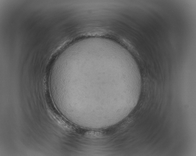 X0000080660354200701121612