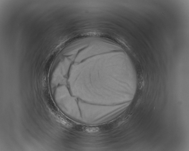 X0000080660355200701121612