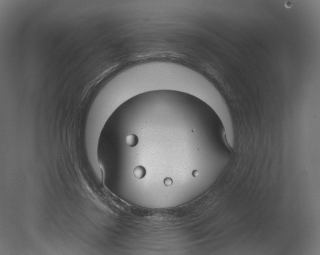 X0000080660356200701121612