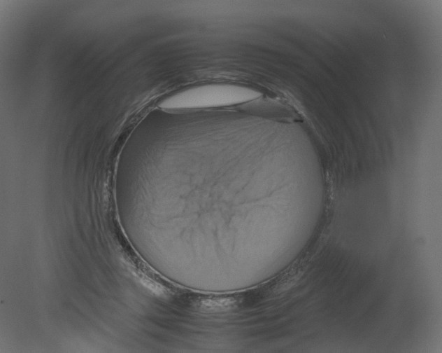 X0000080660357200701121612