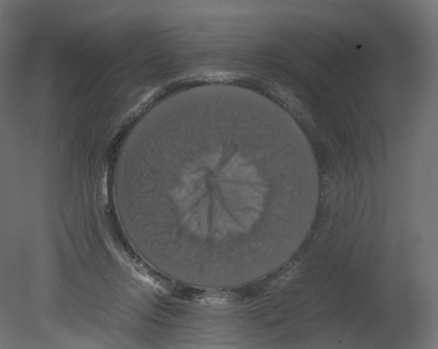 X0000080660358200701121612