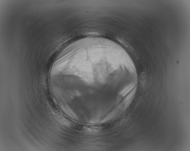 X0000080660359200701121612