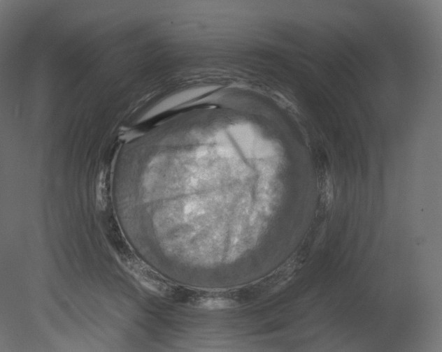 X0000080660360200701121612