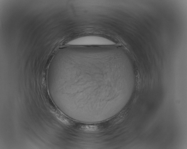 X0000080660361200701121612