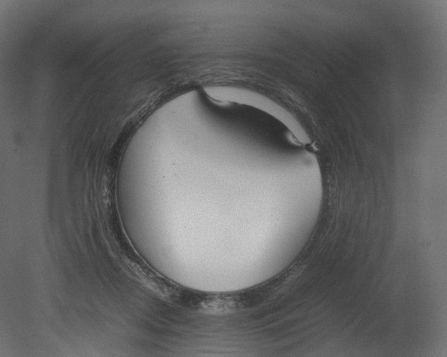 X0000080660362200701121612