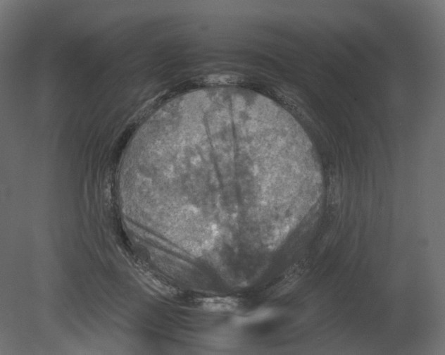 X0000080660363200701121612