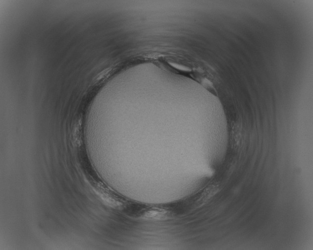 X0000080660364200701121612