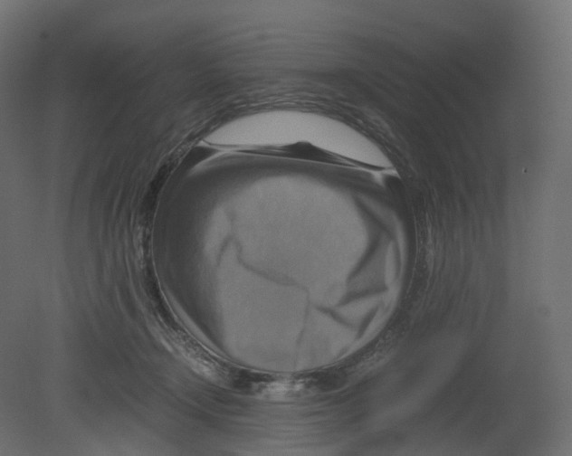 X0000080660366200701121612