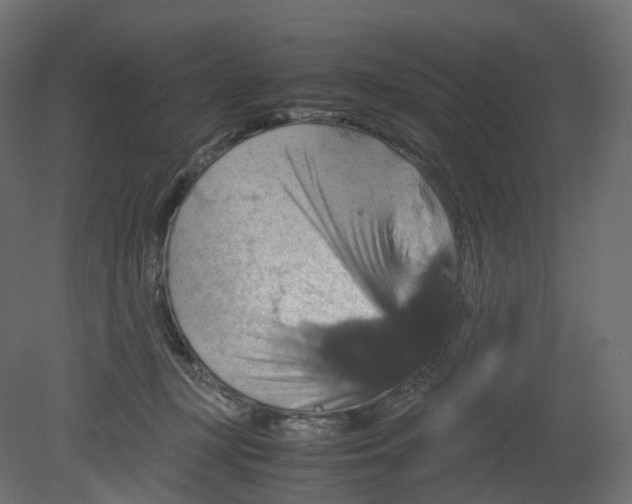 X0000080660367200701121612