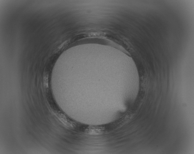 X0000080660368200701121612