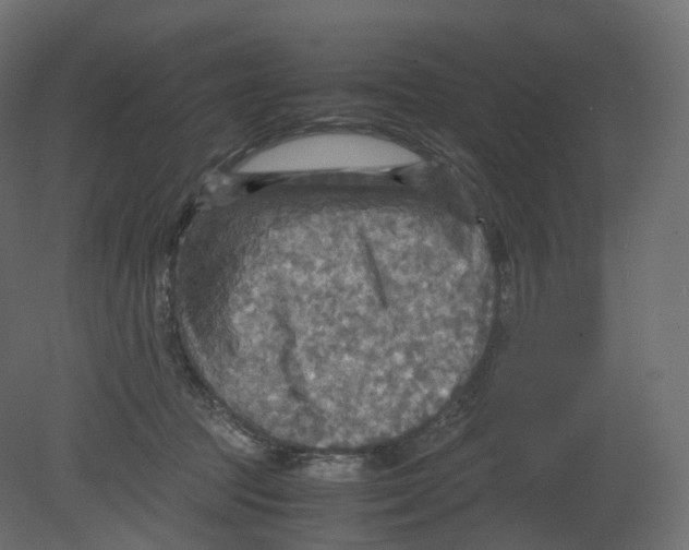 X0000080660369200701121612