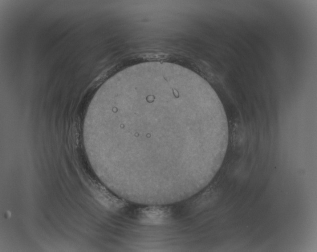 X0000080660370200701121612