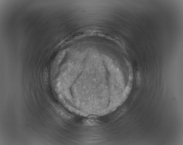 X0000080660372200701121613