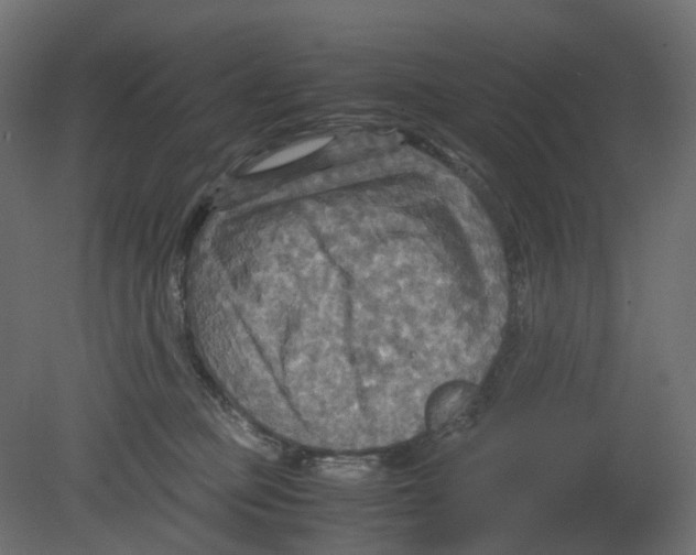 X0000080660373200701121613