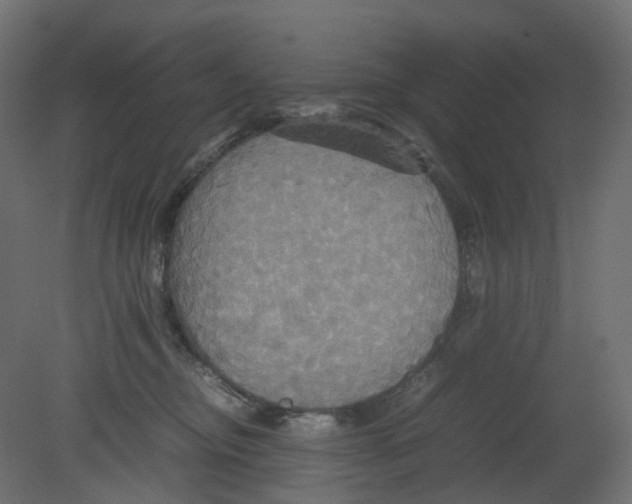 X0000080660374200701121613