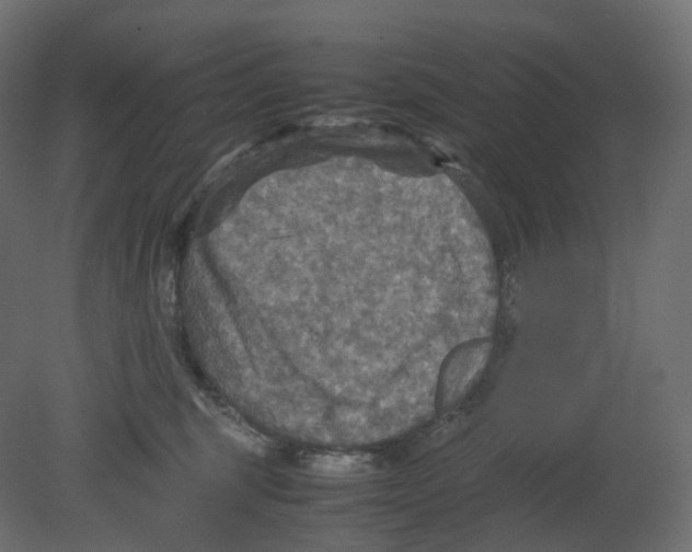 X0000080660375200701121613