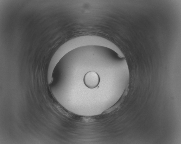 X0000080660376200701121613