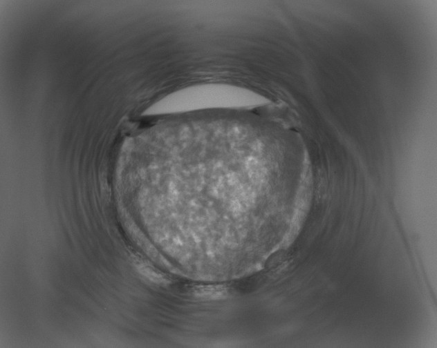 X0000080660377200701121613