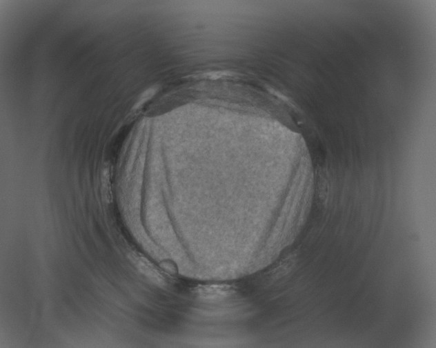 X0000080660378200701121613