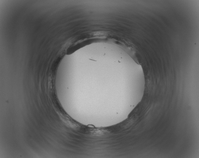 X0000080660379200701121613