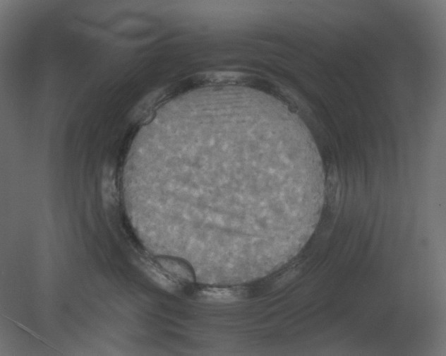 X0000080660381200701121613