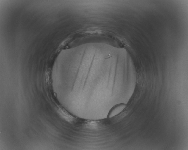 X0000080660382200701121613