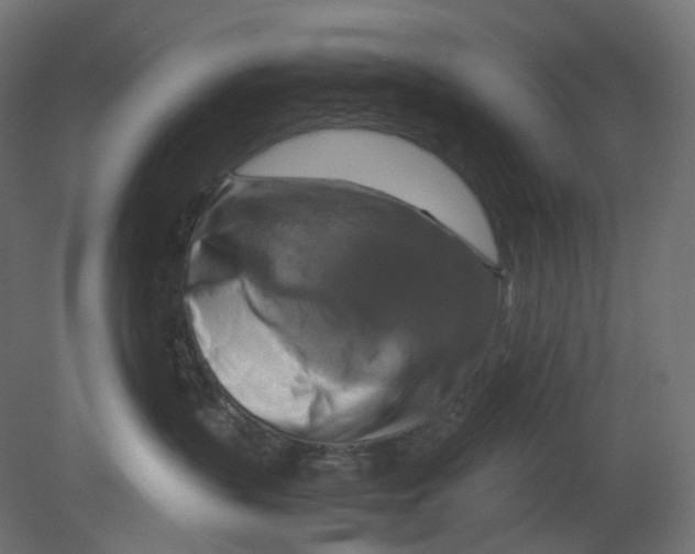 X0000080660383200701121613