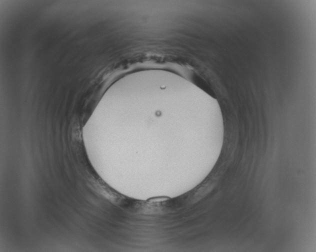 X0000080660384200701121613