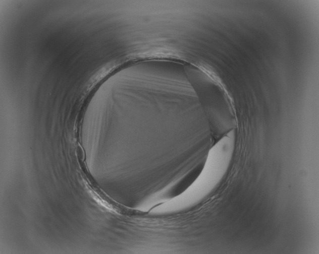 X0000080660389200701121612