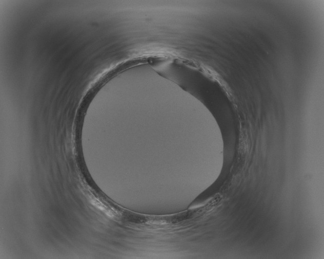 X0000080660391200701121612