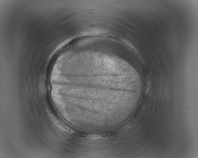 X0000080660392200701121612