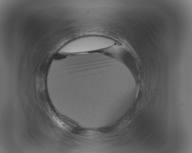 X0000080660393200701121612