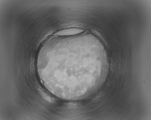 X0000080660394200701121612