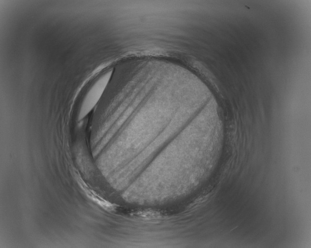 X0000080660395200701121612