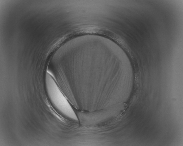 X0000080660397200701121612