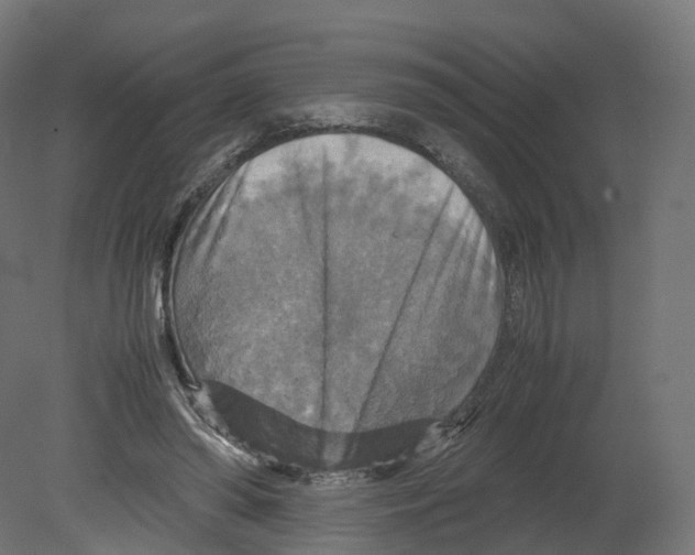 X0000080660398200701121612