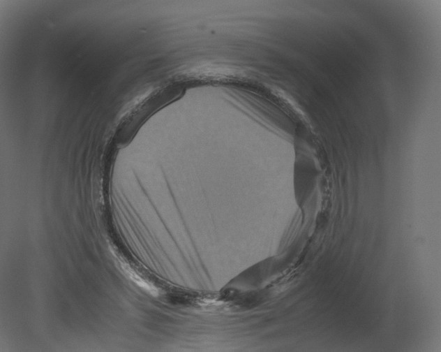 X0000080660399200701121612