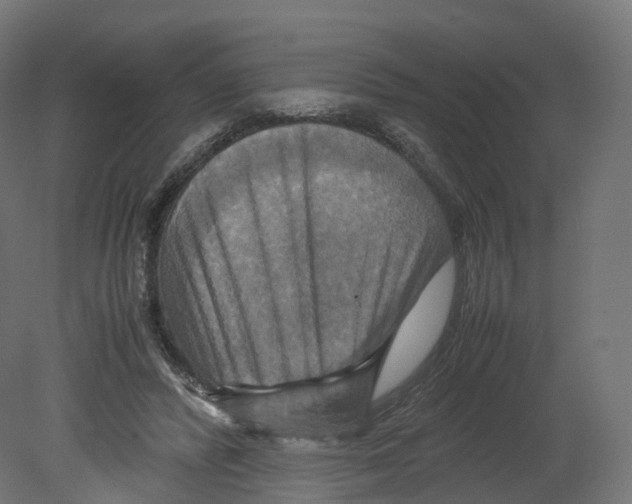 X0000080660400200701121612