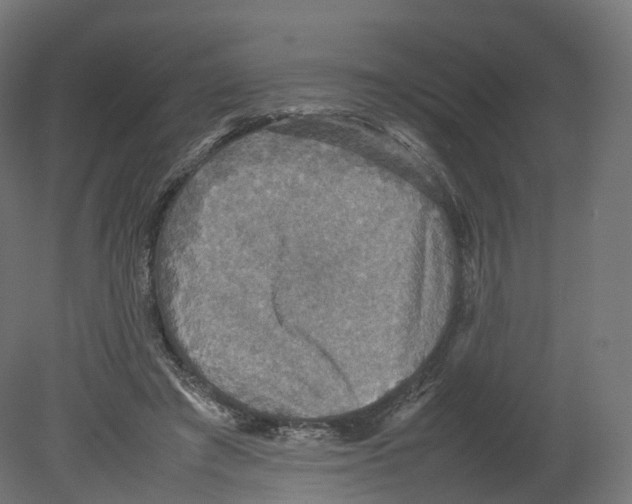 X0000080660401200701121612