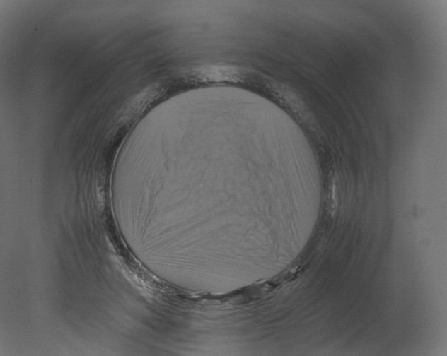 X0000080660402200701121612