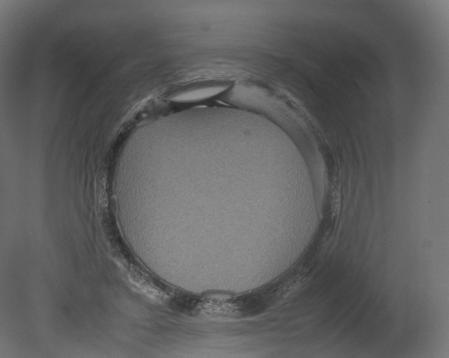 X0000080660403200701121612