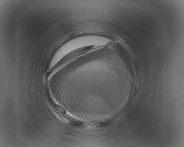 X0000080660405200701121612