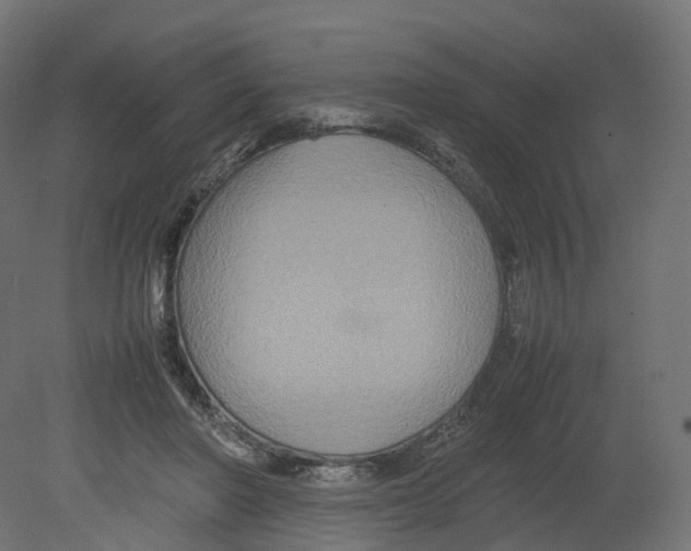 X0000080660406200701121612